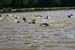 TRIATHLON 04 juin 2006 042